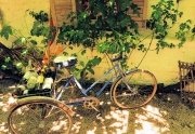 Carmel Valley - Bicycle