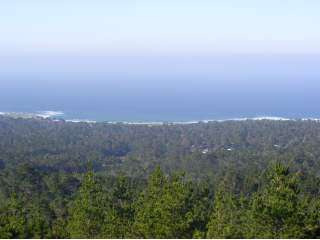 Pebble Beach-Upper Forest/Sheppard’s Knoll/Ocean Pines