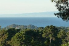 monterey real estate