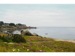 Pacific Grove carmel, ca real estate