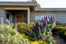 pacific grove real estate