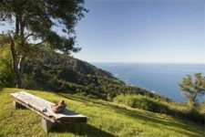 big sur real estate