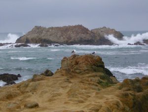 Bird Rock, Pebble Beach Courtesy of Wikipedia