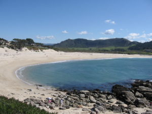 Carmel River State Beach Courtesy of the Marian Hubler blog