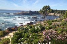 Carmel Highlands Oceanfront Home