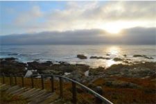 carmel highlands real estate