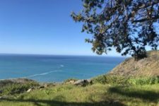 Big Sur Real Estate